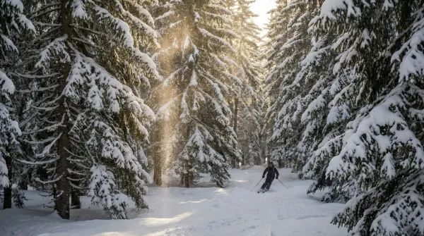 La Tania